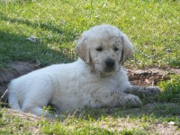 /album/fotogalerie/a19-7-2011-018-jpg1/